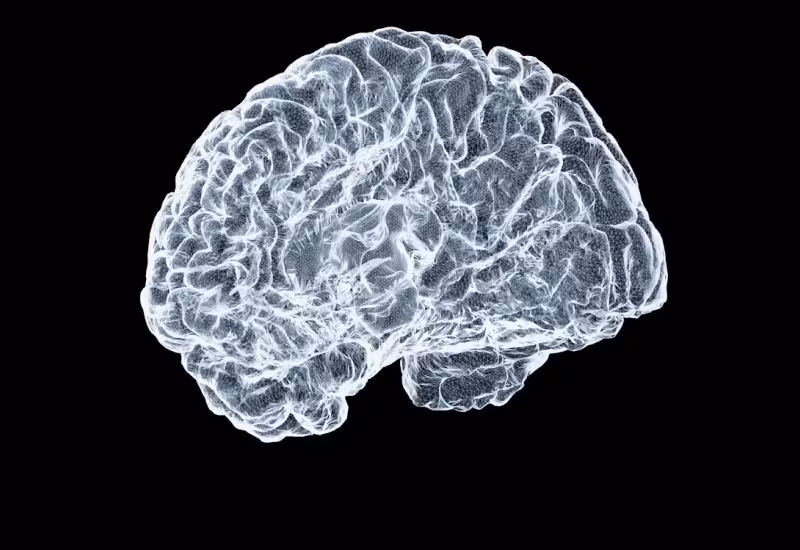 Нейроимплант Neuralink с моделью мозга и нейронными связями