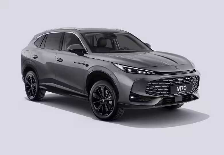 photo 2026 03 06 09 30 17 large