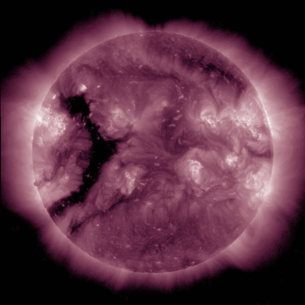 photo 2026 03 10 07 30 40 large