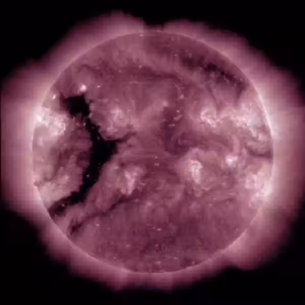 photo 2026 03 10 07 30 40 large