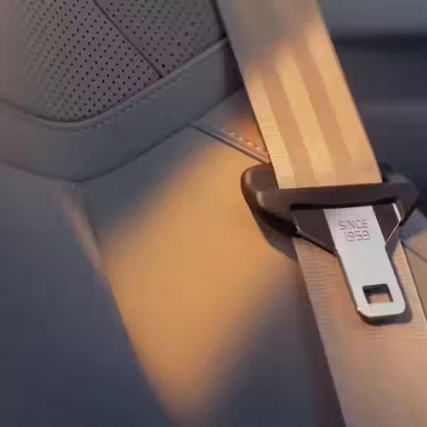 seatbelt 70th anniversary20copy large