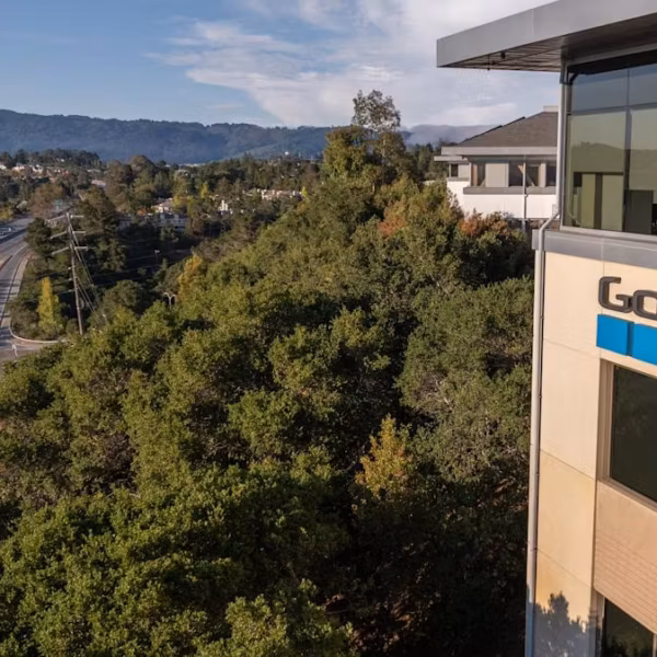 Зеленые деревья и офисное здание GoPro