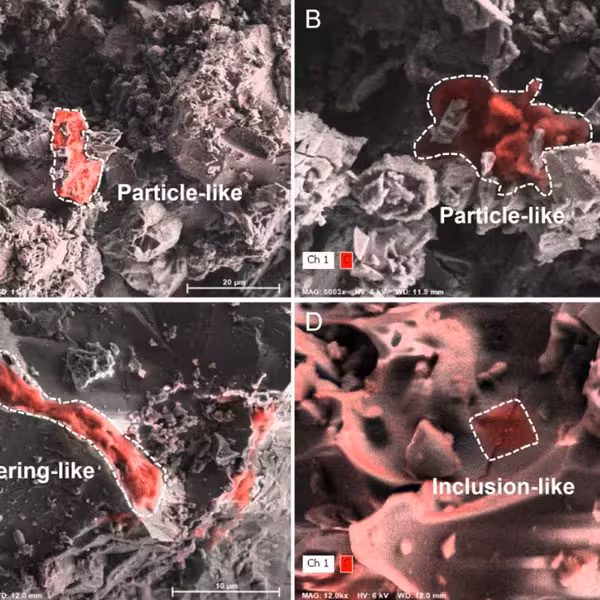 Образцы органики с образцами «Чанъэ-5» и «Чанъэ-6» с микроскопа скелетные структуры и частички