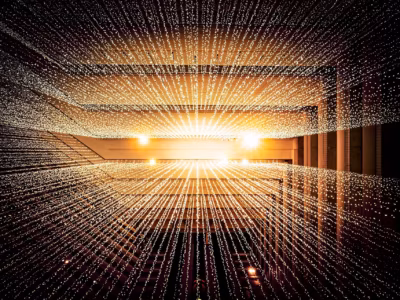 Декоративная световая установка Белый список в России