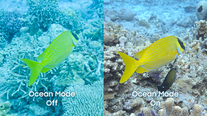 Рыба на кораллах Ocean Mode отключен Galaxy Z Fold 7