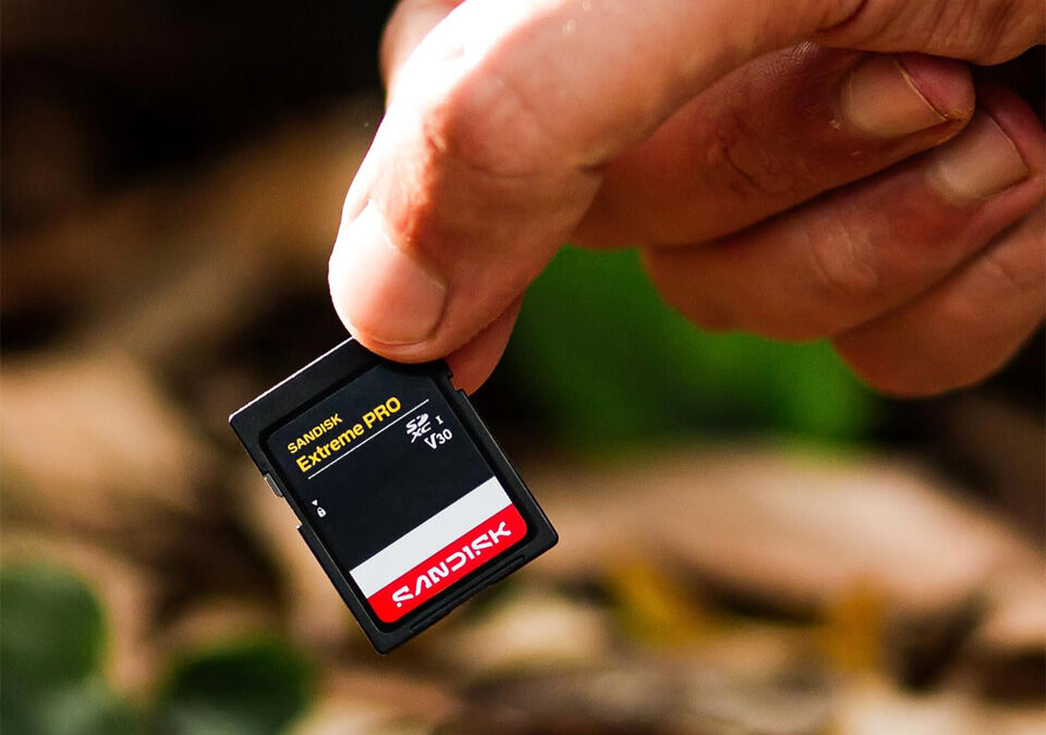 Карта памяти SanDisk Extreme PRO в руке человека