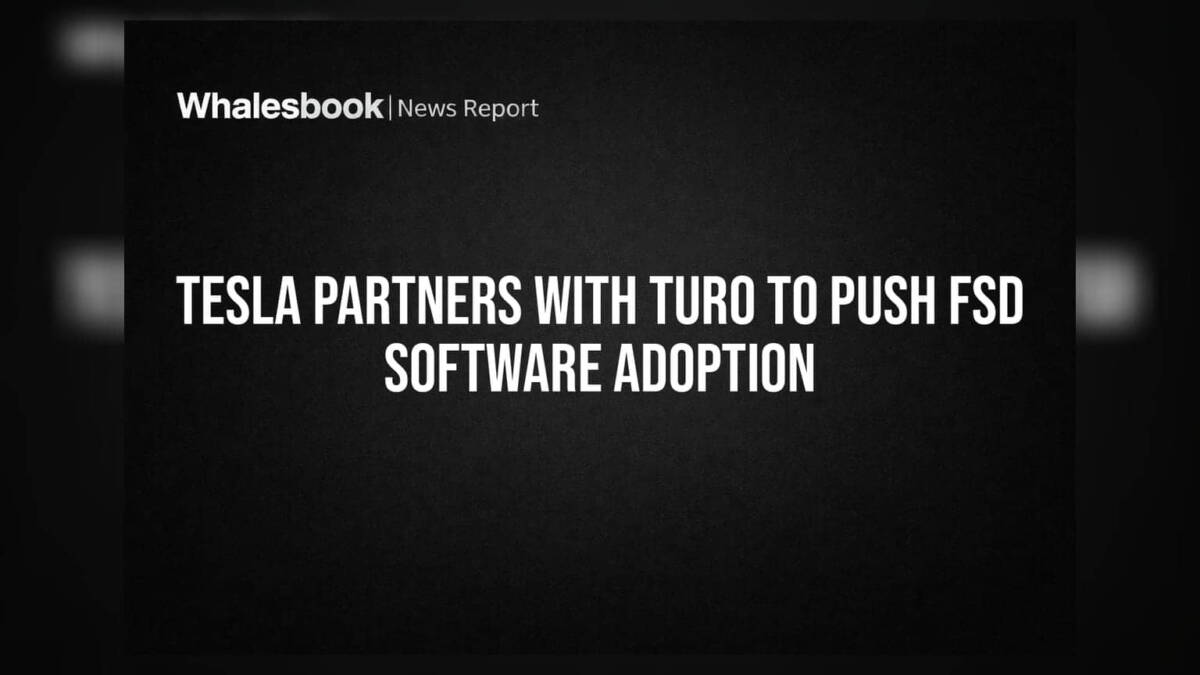 Turo покажет, какие арендные Tesla оснащены системой FSD