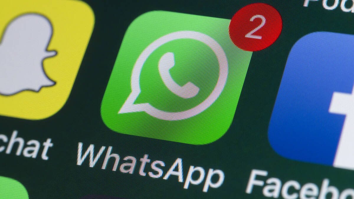 WhatsApp тестирует отложенную отправку сообщений на срок до 2 недель