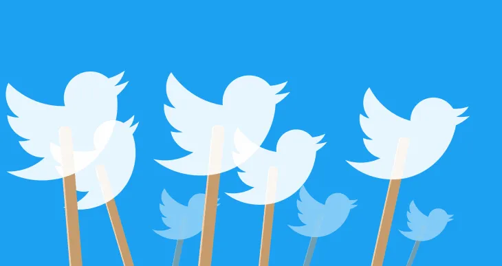 Fake Twitter Accounts