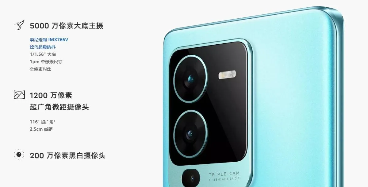 vivo